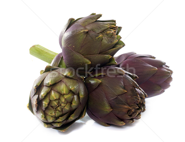 group of purple artichoke Stock photo © cynoclub