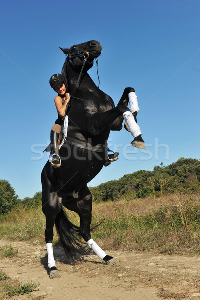 Ló fiatal nő gyönyörű fekete csődör égbolt Stock fotó © cynoclub