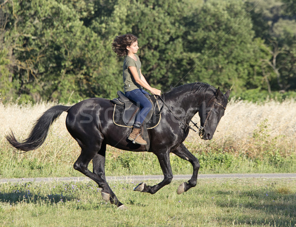 Tineri calarie fată negru armasar natură Imagine de stoc © cynoclub