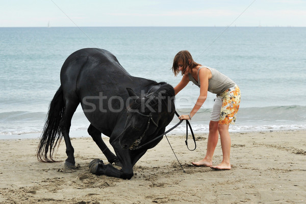 Fată cal plajă negru armasar Imagine de stoc © cynoclub