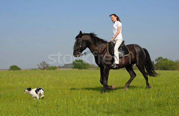 Equitación nina perro jóvenes negro semental Foto stock © cynoclub