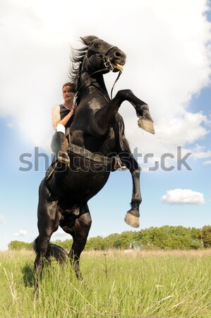horseback riding Stock photo © cynoclub