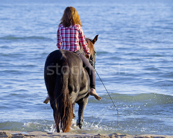 Adolescente cavalo mar mulher garanhão equitação Foto stock © cynoclub