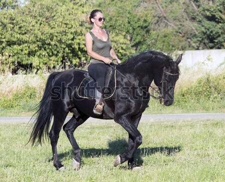 Equitação menina mulher jovem preto garanhão campo Foto stock © cynoclub