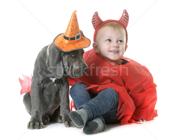 Stock photo: puppy great dane and little boy