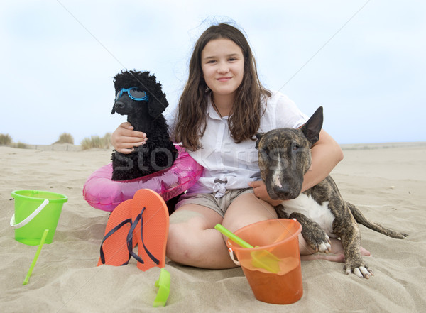 Dziecko psów młoda dziewczyna dwa plaży dziewczyna Zdjęcia stock © cynoclub