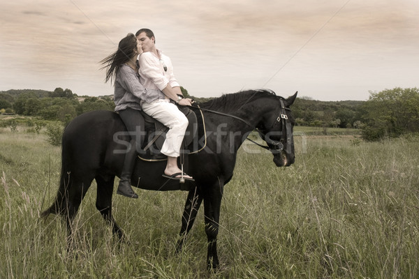 Pareja caballo campo hermosa negro semental Foto stock © cynoclub