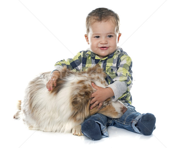 little boy and dog Stock photo © cynoclub