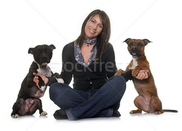 woman and staffordshire bull terrier Stock photo © cynoclub