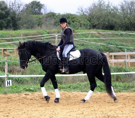 horse and woman in dressage Stock photo © cynoclub