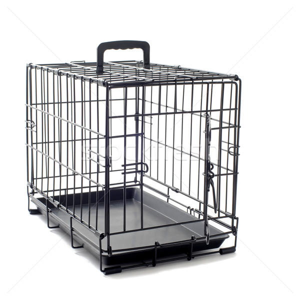 pet carrier Stock photo © cynoclub