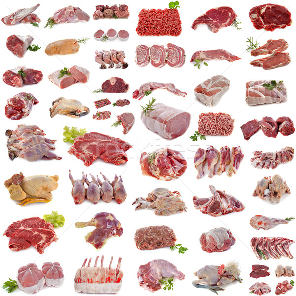 group of meat Stock photo © cynoclub