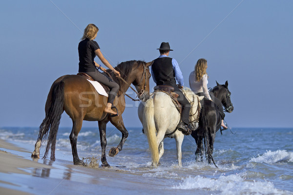 horse riders in the sea Stock photo © cynoclub