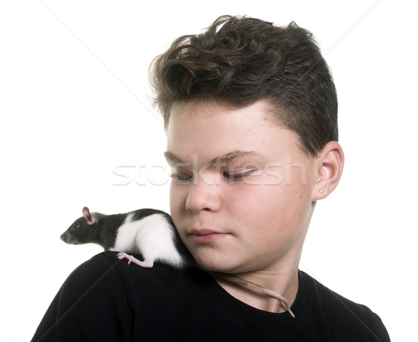 Preto e branco rato adolescente branco criança beijo Foto stock © cynoclub