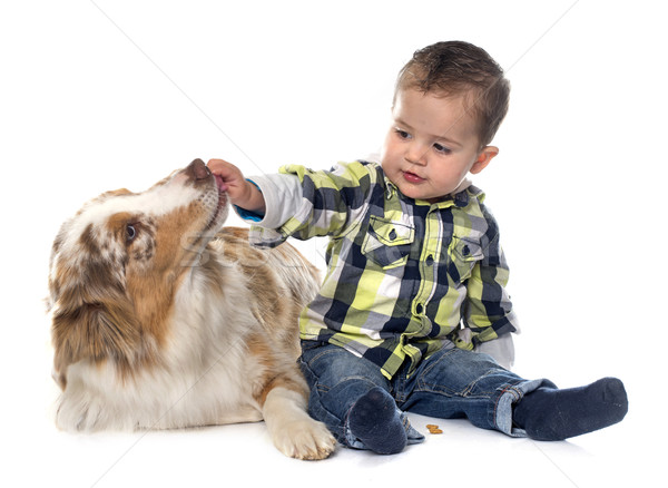 Piccolo ragazzo cane bianco baby amici Foto d'archivio © cynoclub