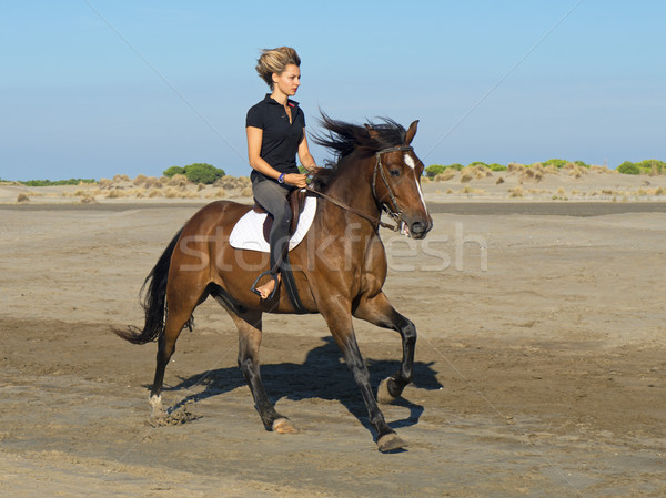 At kadın plaj aygır binicilik spor Stok fotoğraf © cynoclub