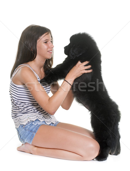 Stock photo: puppy newfoundland dog and child