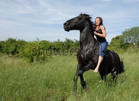 Caballo negro semental campo mujer Foto stock © cynoclub