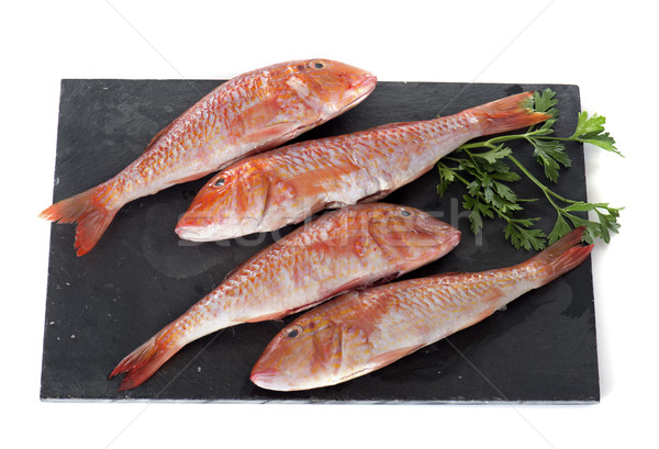 Red mullet Stock photo © cynoclub