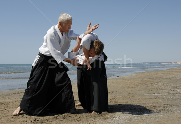 Aikido plaj iki yetişkin eğitim adam Stok fotoğraf © cynoclub