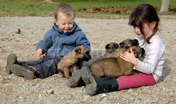 children and puppies Stock photo © cynoclub