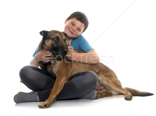 child and malinois Stock photo © cynoclub