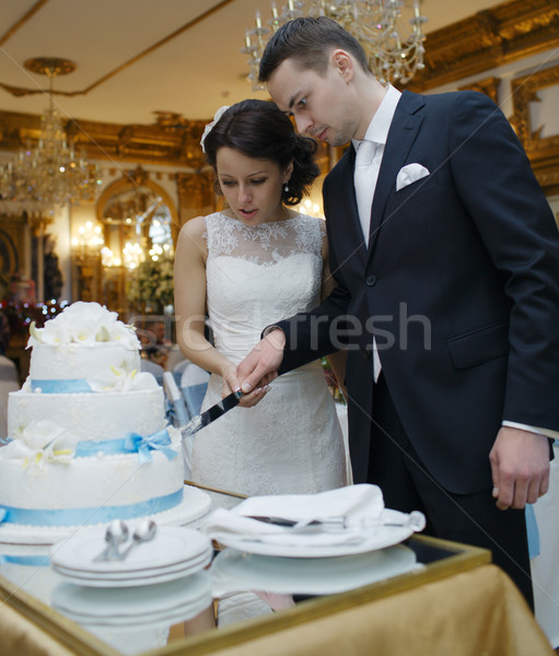Menyasszony vőlegény vág torta gyönyörű készít Stock fotó © d13