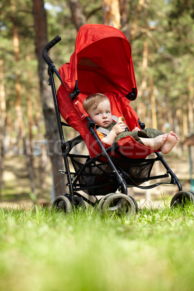 Kid in the buggy Stock photo © d13