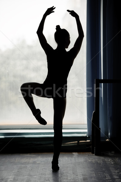 Ballerina silhouette dancing Stock photo © d13