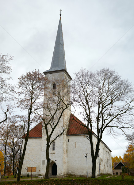 教会 エストニア 秋 空 木 赤 ストックフォト © d13