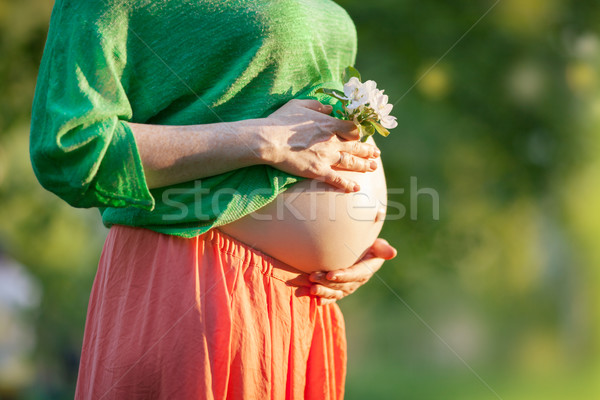 голый беременна живота цветок выстрел Сток-фото © d13