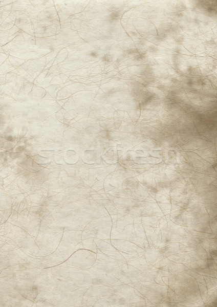 Eski parşömen kağıt dokusu eski grunge parşömen kâğıt Stok fotoğraf © daboost