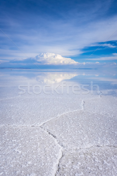 Stock fotó: Sivatag · Bolívia · só · fehér · víz · háttér