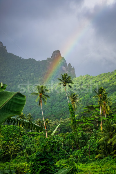 Stock foto: Regenbogen · Insel · Dschungel · Berge · Landschaft · Französisch