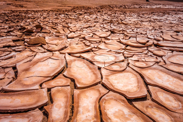 Cracked ground in Valle de la muerte desert, San Pedro de Atacam Stock photo © daboost