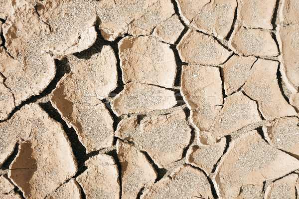 Stock photo: dry mud desert background texture