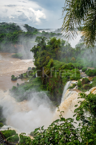 iguazu falls Stock photo © daboost