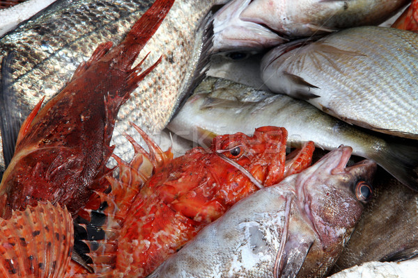 Fisch Markt Fische Gruppe Laden frischen Stock foto © daboost