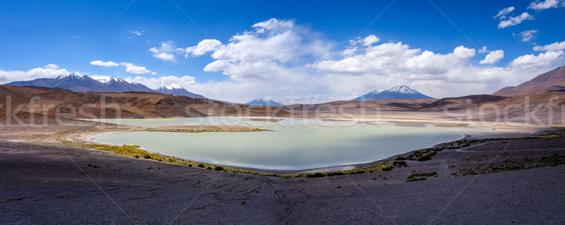 Laguna Honda in sud Lipez Altiplano reserva, Bolivia Stock photo © daboost