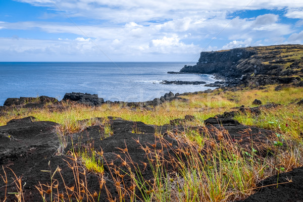 Easter island cliffs and pacific ocean landscape Stock photo © daboost