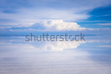 Salar de Uyuni desert, Bolivia Stock photo © daboost
