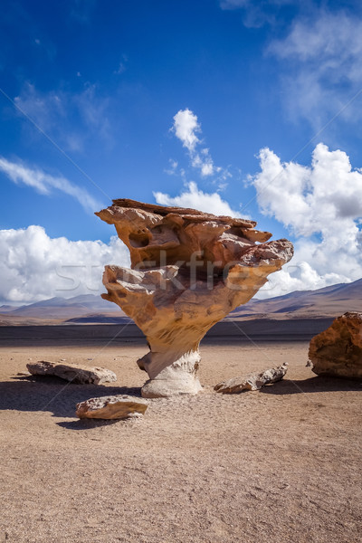 Foto stock: Deserto · Bolívia · céu · sol · natureza · paisagem