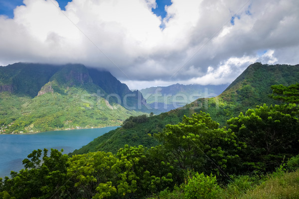 Luchtfoto eiland frans polynesië boom bos Stockfoto © daboost