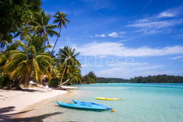 Paradise tropical beach and lagoon in Moorea Island Stock photo © daboost