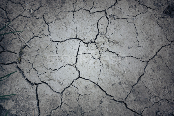 Trocken Schlamm Land Textur Erderwärmung Wüste Stock foto © daboost