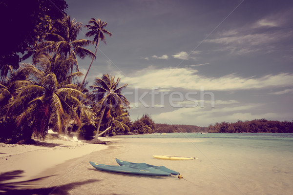 Paradijs tropisch strand eiland frans polynesië strand Stockfoto © daboost