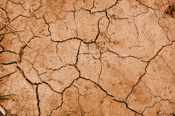 幹 泥 質地 全球變暖 沙漠 破 商業照片 © daboost