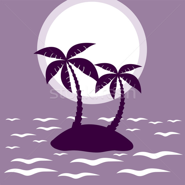 Vector tropische palm eiland maan zon Stockfoto © Dahlia