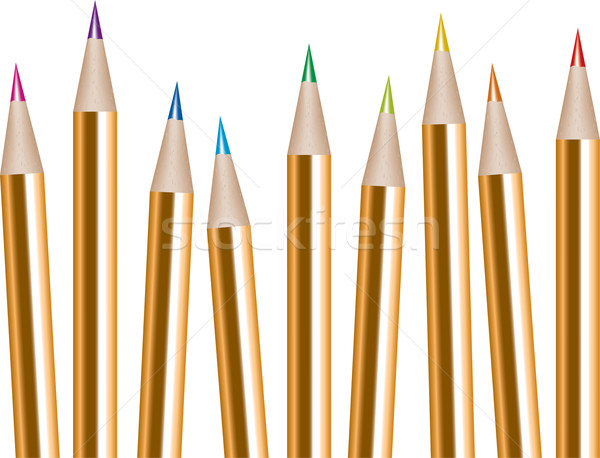 Vector bos gekleurd potloden school potlood Stockfoto © Dahlia