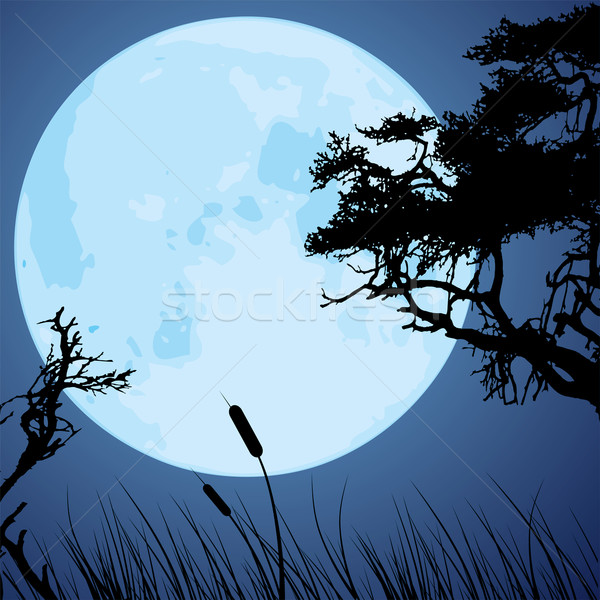 Foto stock: Vector · luna · siluetas · árbol · grande